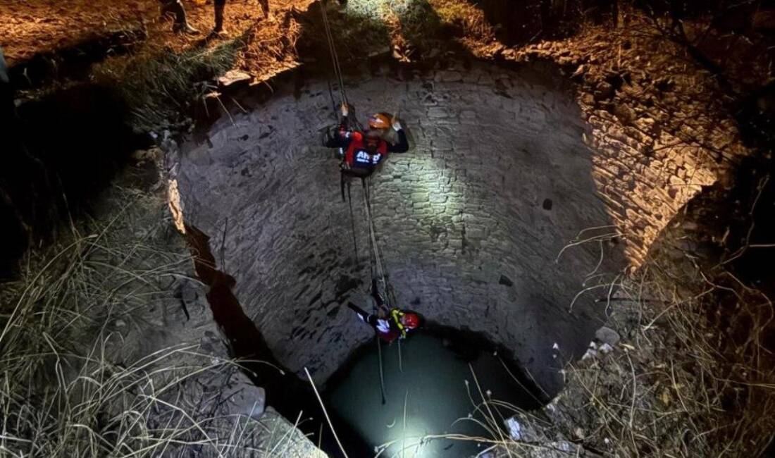 Kulp'ta kuyuya düşen yaban