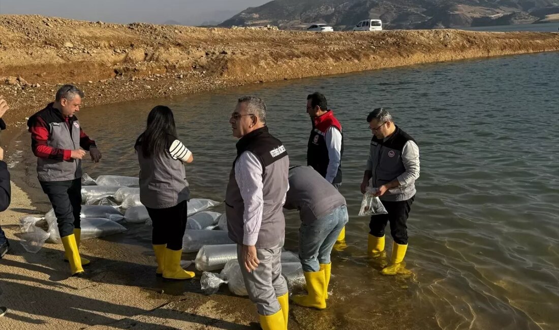 Siirt'te yapılan çevre koruma