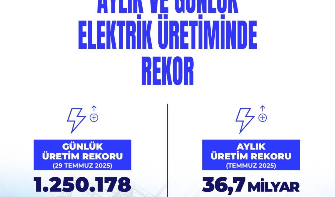 Enerji ve Tabii Kaynaklar Bakanı Alparslan Bayraktar, temmuz ayında elektrik