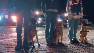 İSTANBUL / TEKHA İstanbul merkezli 20 ilde, kendilerini polis, hakim,