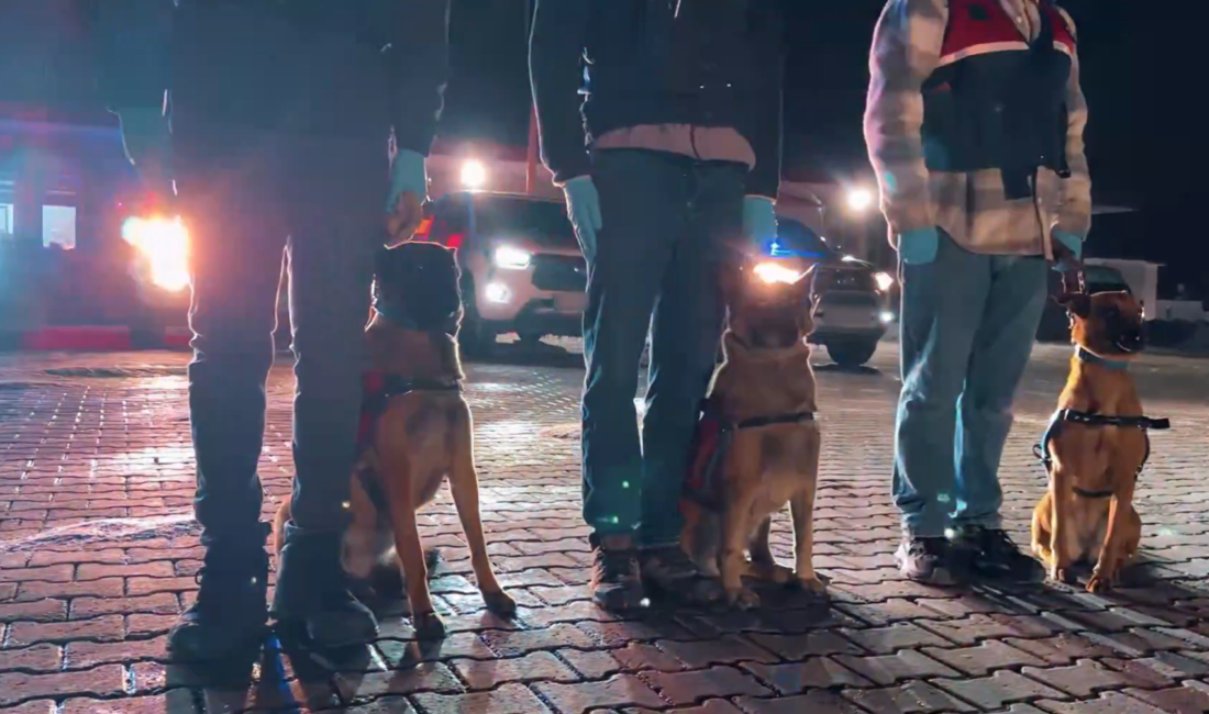 ANKARA / TEKHA İçişleri Bakanlığı, ülke genelinde uyuşturucu satıcılarına yönelik