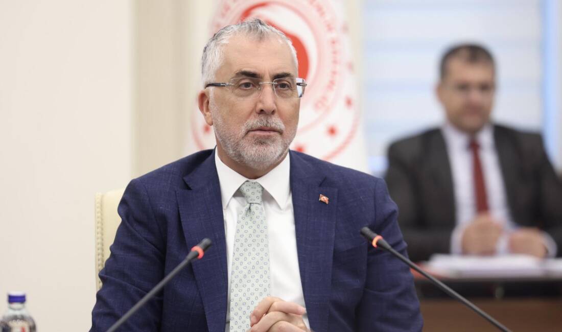 Çalışma ve Sosyal Güvenlik Bakanı Vedat Işıkhan, Avrupa Birliği ile