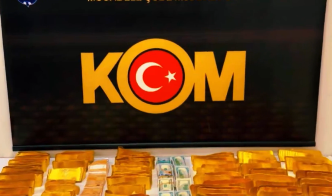 ŞIRNAK / TEKHA Emniyet Genel Müdürlüğü (EGM), Şırnak’ın Cizre ilçesinde