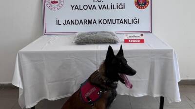 YALOVA / TEKHA Yalova İl Jandarma Komutanlığı, uyuşturucuyla mücadele çalışmaları