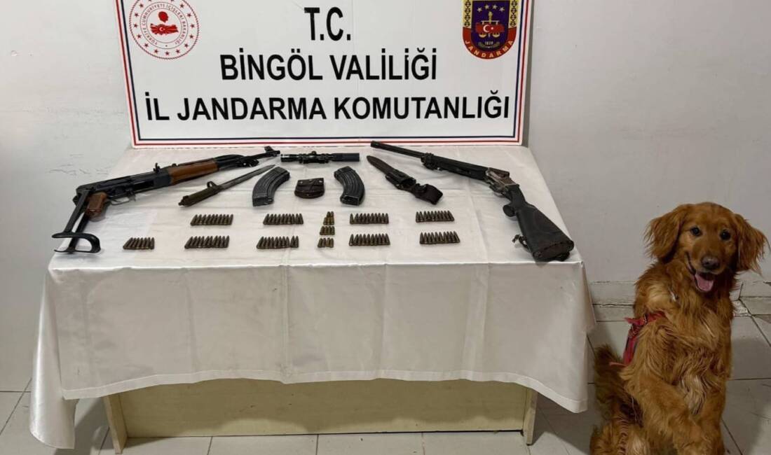 BİNGÖL / TEKHA BİNGÖL’ün Karlıova ilçesi kırsalında jandarma ekipleri tarafından
