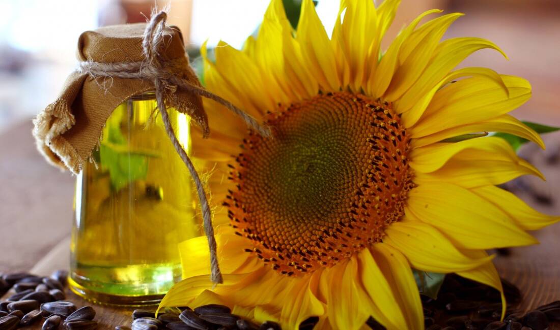 İSTANBUL / TEKHA Türkiye’nin ayçiçeği yağı ihracatı 2026 yılının ilk