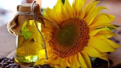 İSTANBUL / TEKHA Türkiye’nin ayçiçeği yağı ihracatı 2026 yılının ilk