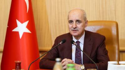 ANKARA / TEKHA TBMM Başkanı Numan Kurtulmuş, Yurtdışı Türkler ve