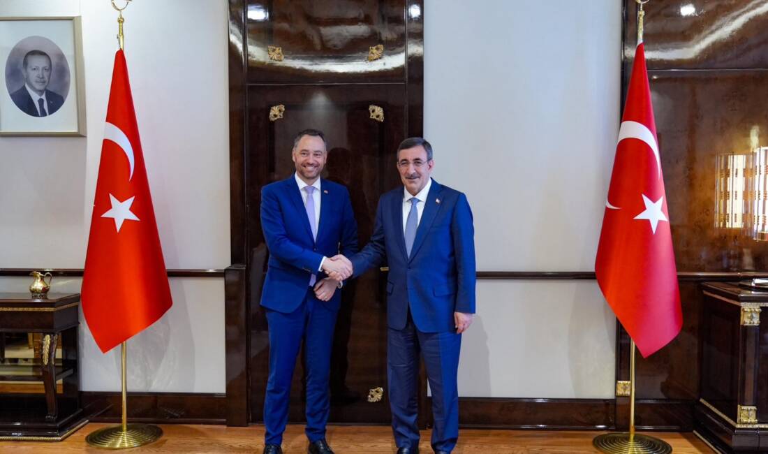 ANKARA / TEKHA Cumhurbaşkanı Yardımcısı Cevdet Yılmaz, Belçika Başbakan Yardımcısı