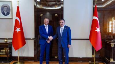 ANKARA / TEKHA Cumhurbaşkanı Yardımcısı Cevdet Yılmaz, Belçika Başbakan Yardımcısı