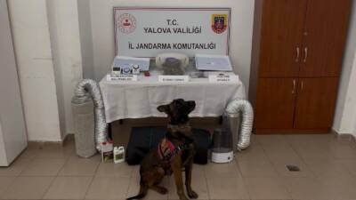 YALOVA / TEKHA Yalova İl Jandarma Komutanlığı ekipleri, uyuşturucuyla mücadele