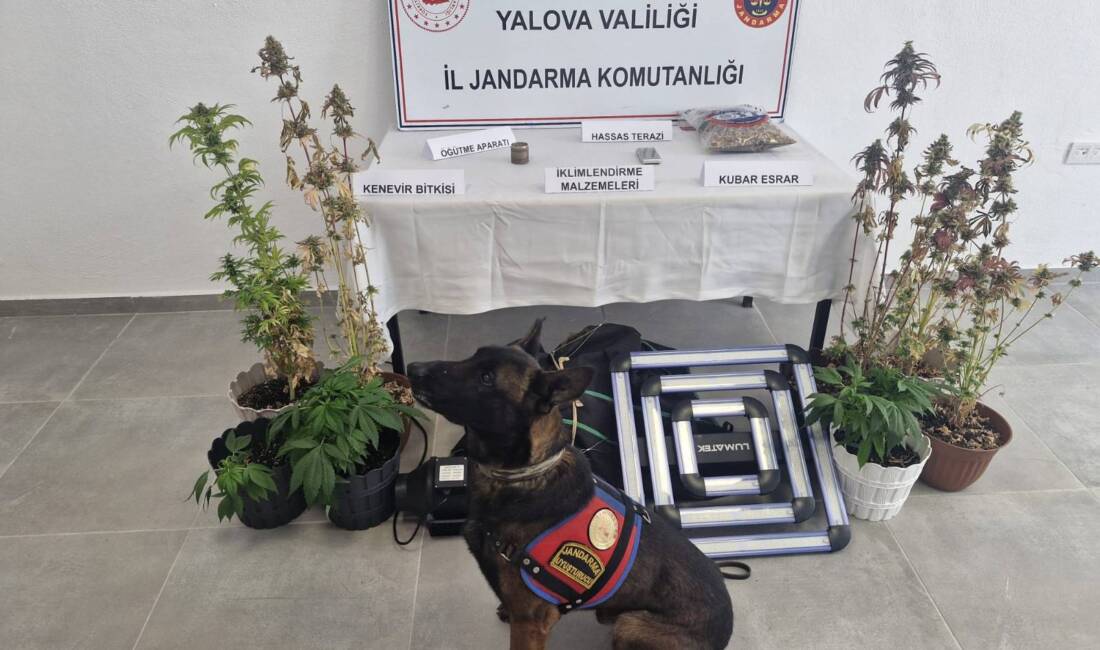 YALOVA / TEKHA Yalova İl Jandarma Komutanlığınca, uyuşturucuyla mücadeleye yönelik