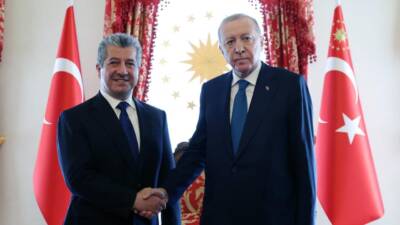 İSTANBUL / TEKHA Cumhurbaşkanı Recep Tayyip Erdoğan, Irak Kürt Bölgesel