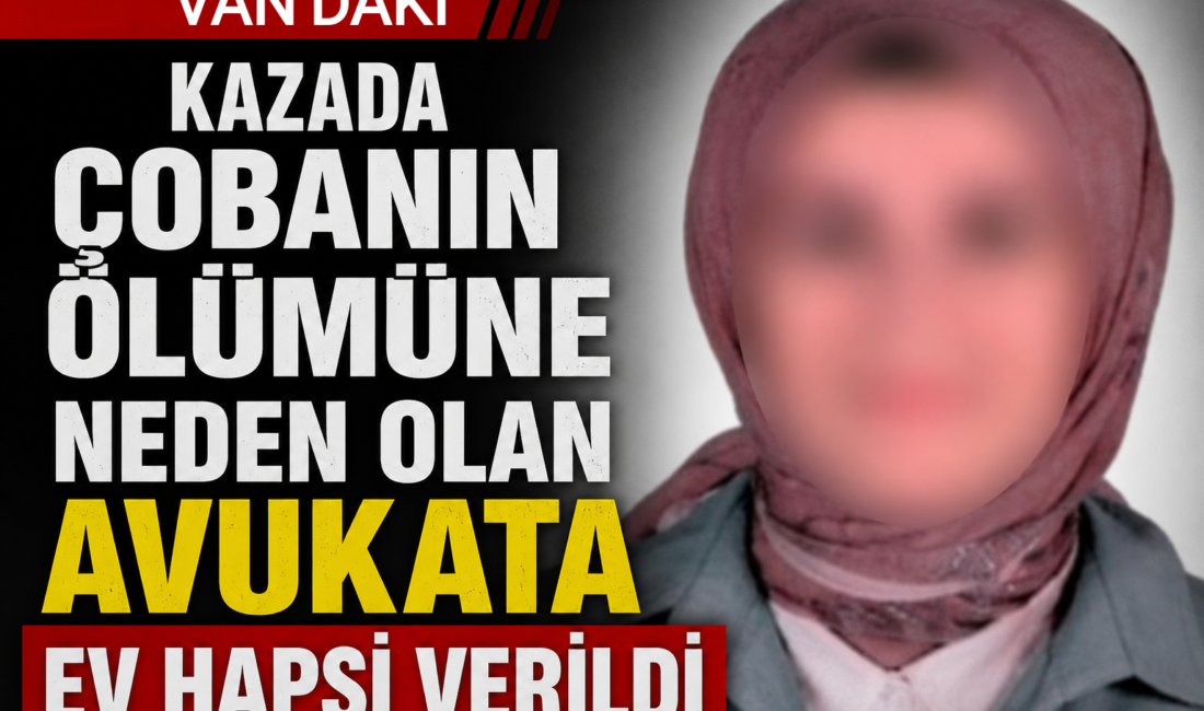 SUAT BARAN – VAN / TEKHA Van’ın Gürpınar ilçesinde çarptığı