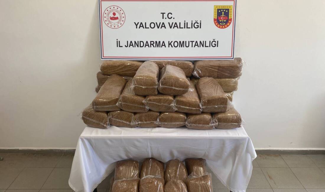 YALOVA / TEKHA Yalova İl Jandarma Komutanlığı ekipleri, kaçakçılıkla mücadele