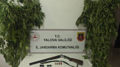 YALOVA / TEKHA Yalova İl Jandarma Komutanlığı ekipleri, uyuşturucu imal