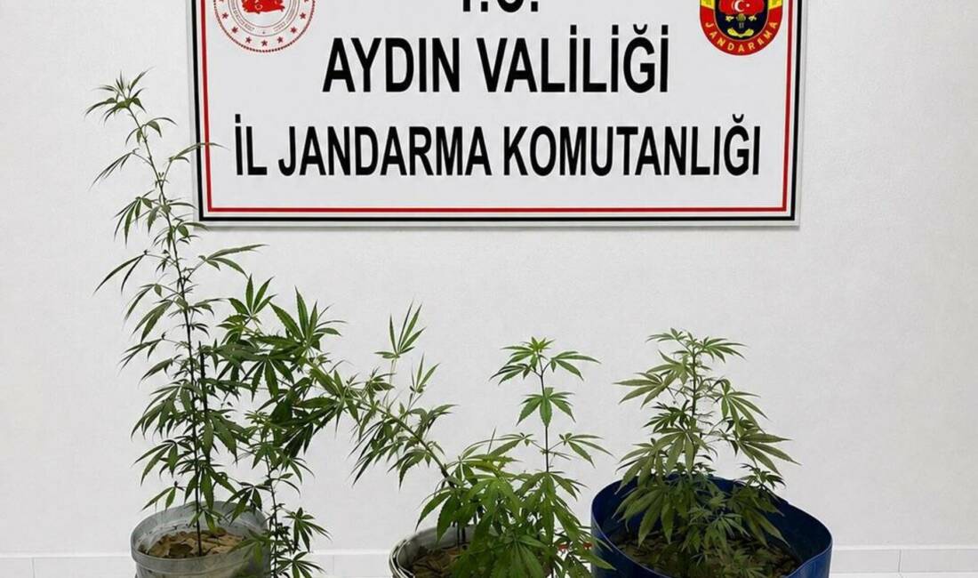 AYDIN / TEKHA Aydın’ın Kuşadası ilçesinde jandarma ekiplerince bir adrese