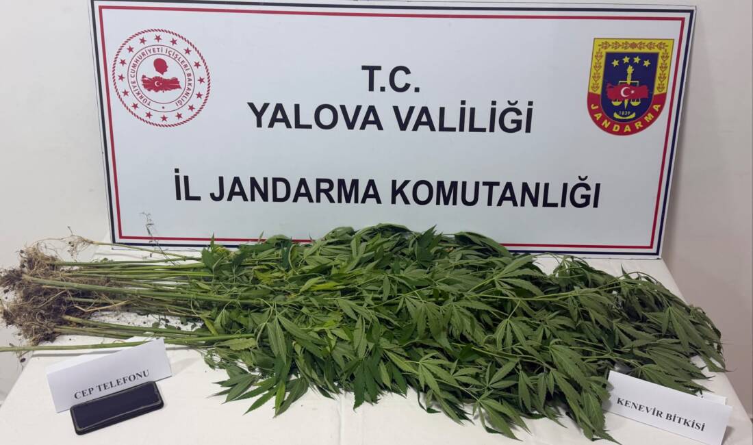 YALOVA / TEKHA Yalova İl Jandarma Komutanlığı ekipleri, uyuşturucu madde