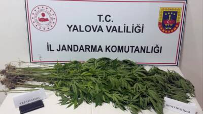 YALOVA / TEKHA Yalova İl Jandarma Komutanlığı ekipleri, uyuşturucu madde